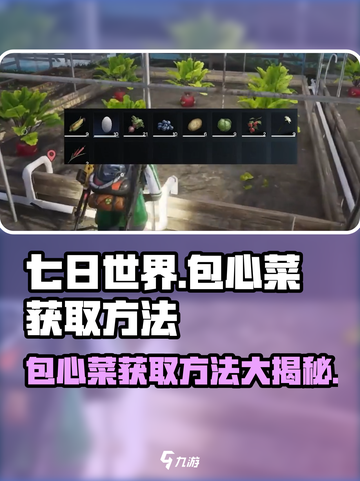 七日世界包心菜如何获取介绍截图1
