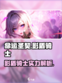 命运圣契影盾骑士怎么样介绍