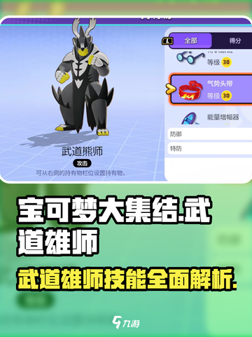 宝可梦大集结武道雄师技能介绍介绍截图1