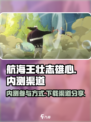 航海王壮志雄心内测怎么参加​介绍