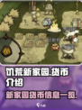 饥荒新家园货币介绍介绍