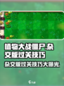 植物大战僵尸杂交版🔥过关技巧大揭秘！游戏技巧一网打尽🎉