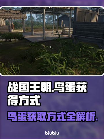 战国王朝🔥快速获取鸟蛋方式大揭秘！👇截图1