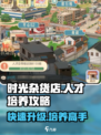 时光杂货店🔥人才培养秘籍，快速上手制胜攻略！🎮