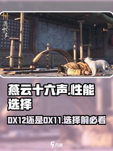 燕云十六声DX12可以选吗介绍截图1