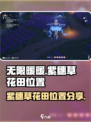 无限暖暖紫穗草花田在哪介绍