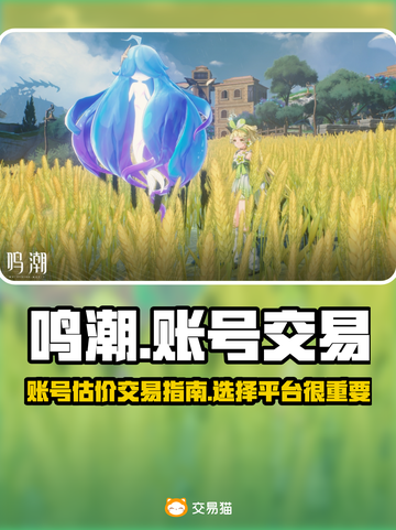 鸣潮🔥账号交易平台推荐，快速估价秘籍✨截图1