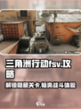三角洲行动fsv是什么介绍