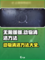 无限暖暖动物清洁怎么做介绍