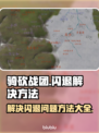 骑砍战团💥闪退解决方法来了！🔥