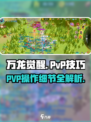 万龙觉醒pvp怎么玩介绍