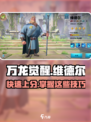 万龙觉醒维德尔怎么练介绍