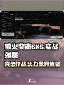 萤火突击SKS怎么样介绍