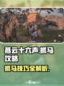燕云十六声怎么抓马介绍