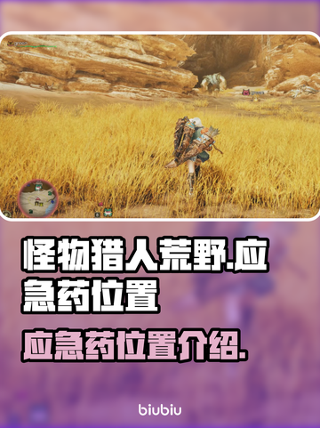怪物猎人：荒野应急药📍精准位置大曝光！截图1