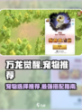 万龙觉醒宠物推荐介绍