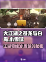 大江湖之苍龙与白鸟小雪球是谁介绍