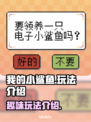 我的小鲨鱼游戏🔥玩法超简单，快来一起玩