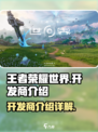 王者荣耀世界开发商是谁介绍