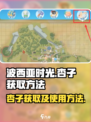 波西亚时光杏子怎么获得介绍