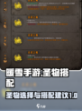 暖雪手游🔥圣物搭配攻略，助你战力爆表！