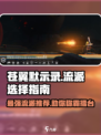 苍翼混沌效应流派推荐介绍