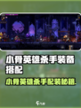 《小骨英雄杀手装备搭配🔥》🗡💥