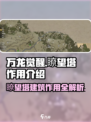 万龙觉醒🔥瞭望塔竟是逆天神技！玩家必知建筑大揭秘