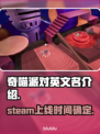 奇喵派对steam叫什么？英文名大曝光！🎮🔥