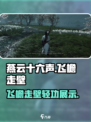 燕云十六声飞檐怎么样介绍
