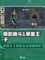 暗影格斗3草原王子怎么样介绍