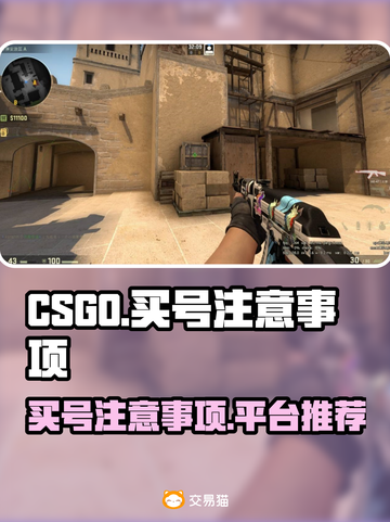 🔥CSGO买号必看！避免踩坑指南🎉截图1