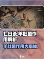 七日世界羊肚菌有什么用介绍