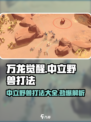万龙觉醒🔥中立野兽打法详解，轻松制胜的秘密！