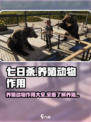七日世界养殖动物有什么用介绍