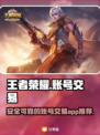 王者荣耀账号交易🔥安全平台推荐！🎉