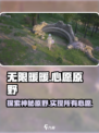 无限暖暖🔥心愿原野：超多惊喜等你来探索！🎮