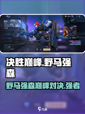 决胜巅峰野马是谁介绍截图1