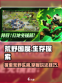 荒野国度游戏怎么样介绍