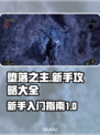 堕落之主🔥新手必看！全流程攻略分享🎮