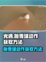 光遇抛雪球动作怎么获得介绍