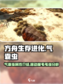 方舟终极移动版毛毛虫怎么样介绍