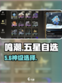 鸣潮五星声骸自选必看🔥
