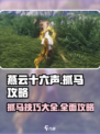 燕云十六声怎么抓马介绍