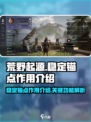 荒野起源稳定的锚点有什么用介绍