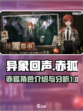 异象回声赤狐怎么样介绍