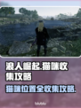 浪人崛起🐱：全猫咪位置收集攻略，速来！