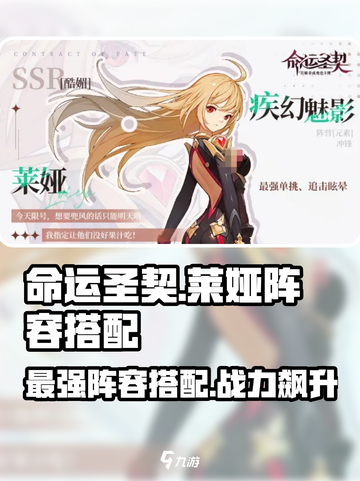 命运圣契莱娅阵容搭配分享介绍截图1