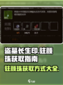 盗墓长生印驻颜珠获得方式介绍