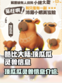 酷比大陆🔥顶瓜瓜灵兽超详细信息揭秘！
